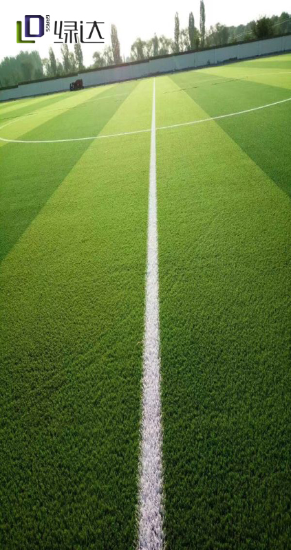 河南質(zhì)量工程職業(yè)學(xué)院十一人制人造草坪足球場